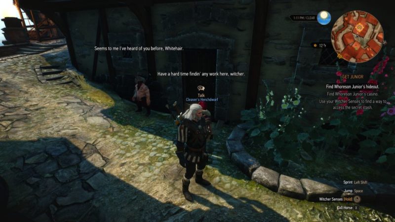 the witcher 3 - get junior help