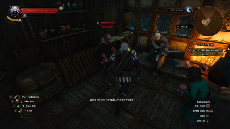 the witcher 3 - now or never mission