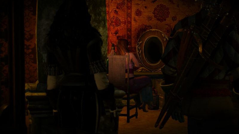 the witcher 3 - skjall's grave
