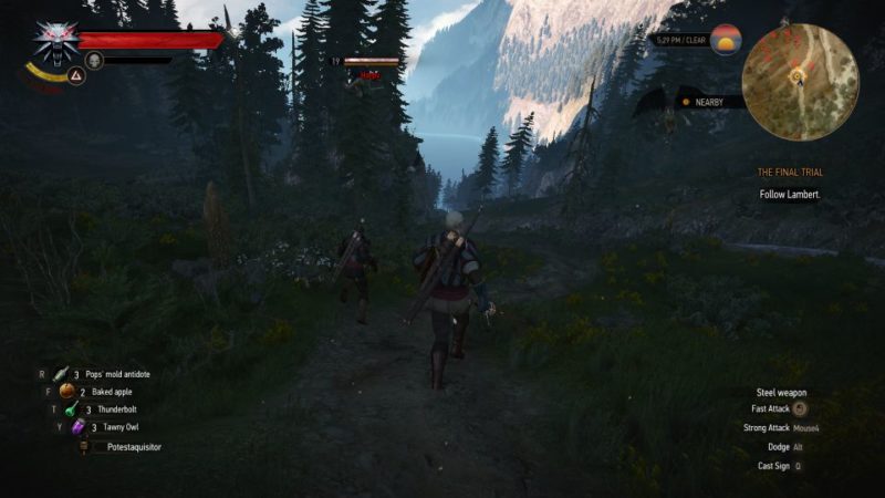 the witcher 3 - the final trial quest guide