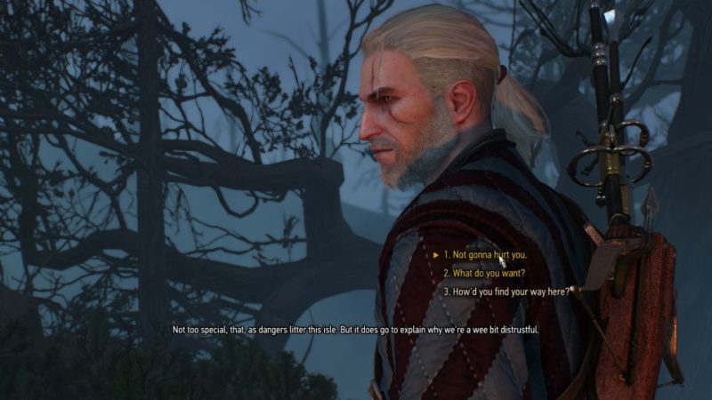 the witcher 3 - the isle of mists tips