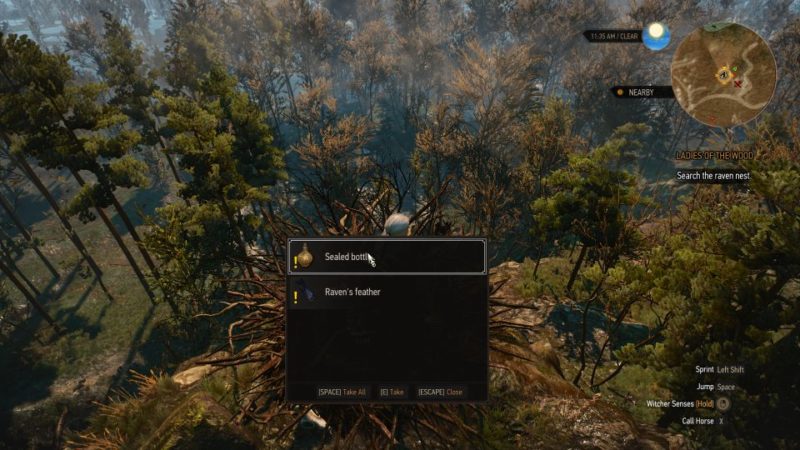 the witcher 3 - the whispering hillock - choose evil spirit or the witches