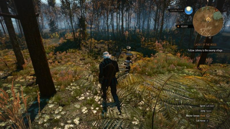 Hillock before witcher the wood whispering ladies 3 of The Witcher