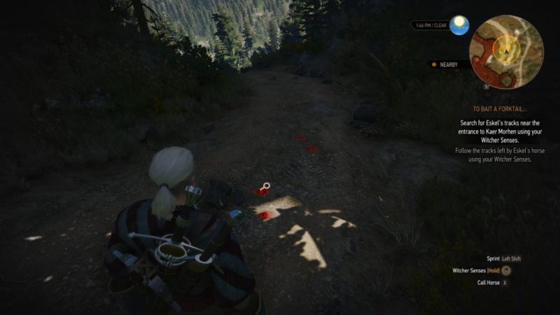 the witcher 3 - to bait a forktail