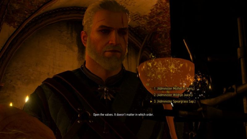 va fail, elaine - witcher 3 wiki