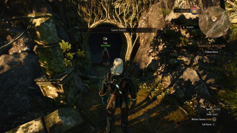 wandering in the dark - the witcher 3 quest