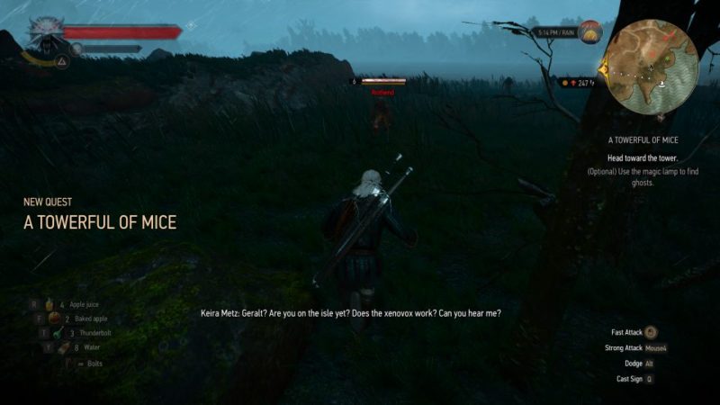 witcher 3 - a towerful of mice quest guide