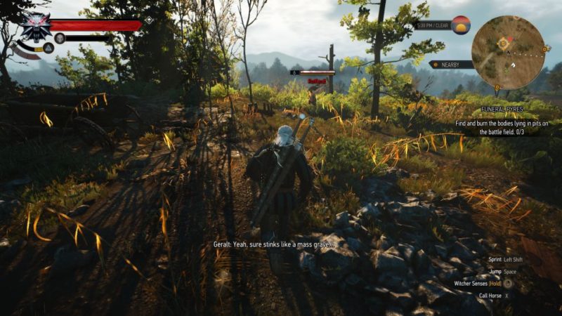 witcher 3 - funeral pyres kill the man or let him go