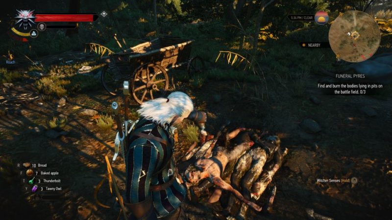 witcher 3 - funeral pyres quest