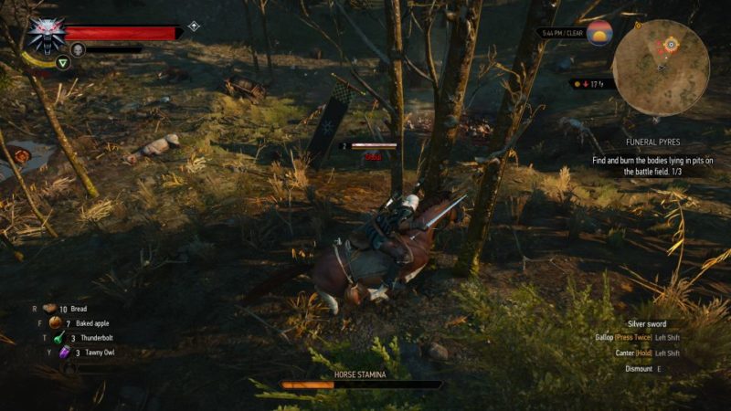 witcher 3 - funeral pyres quest guide