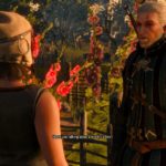 witcher 3 - hunting a witch guide and tips