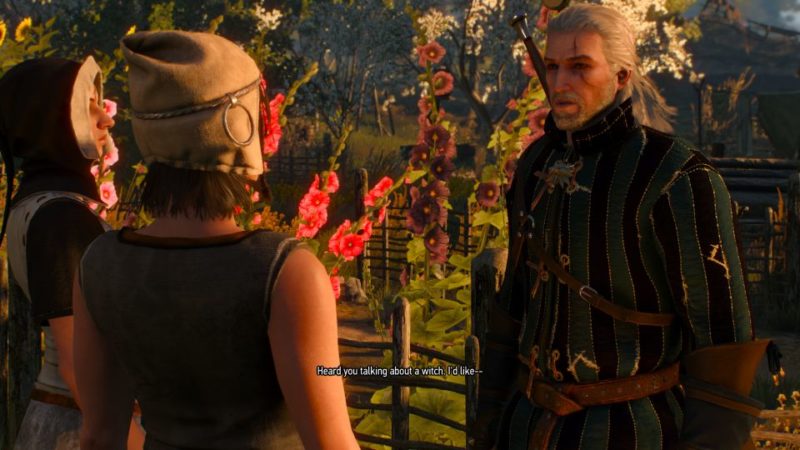 witcher 3 - hunting a witch guide and tips