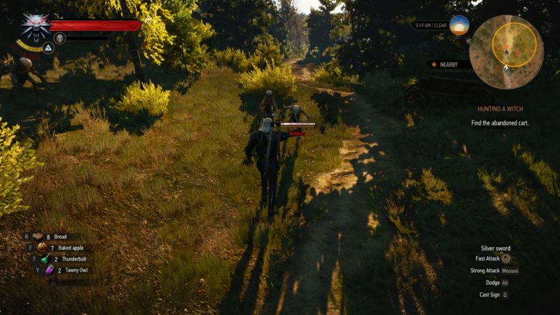 witcher 3 - hunting a witch mission guide