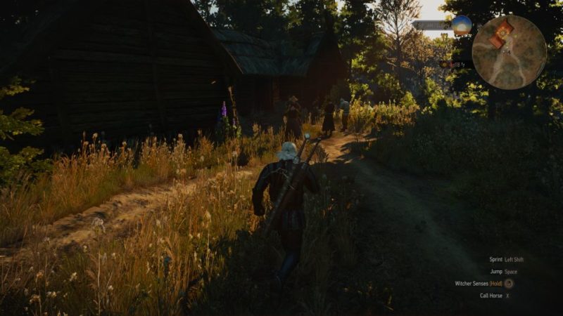 witcher 3 - hunting a witch mission walkthrough