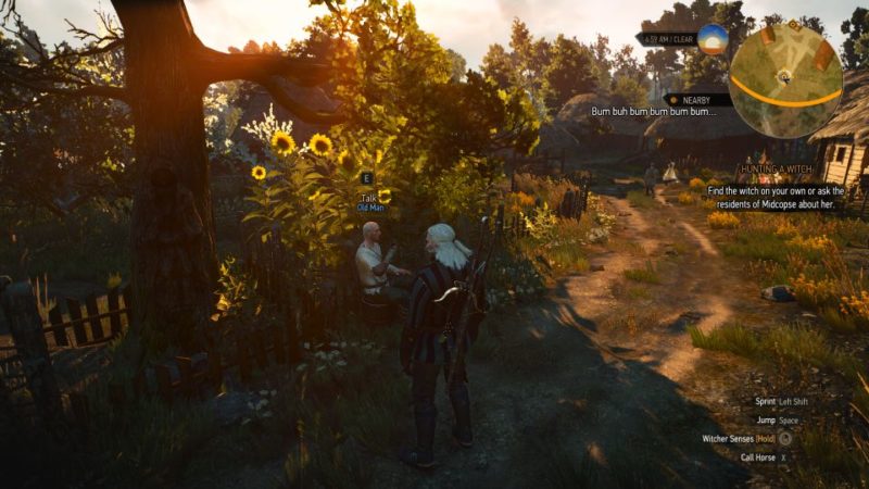 witcher 3 - hunting a witch quest