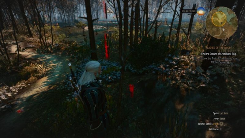 witcher 3 - ladies of the wood quest