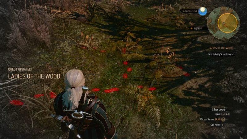 witcher 3 - ladies of the wood tips