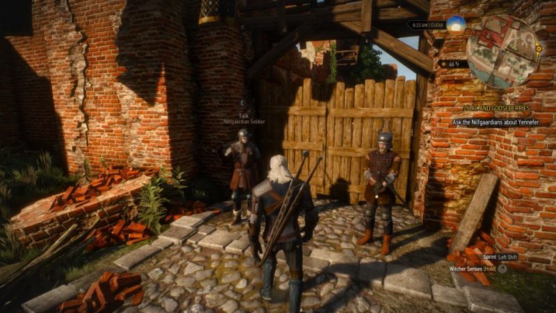 witcher 3 - lilac and gooseberies walkthrough