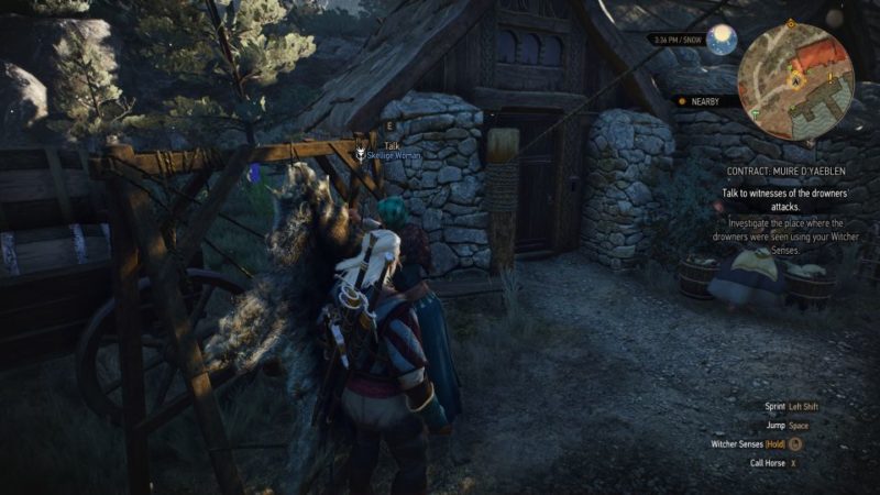 witcher 3 - muire d'yaeblen quest