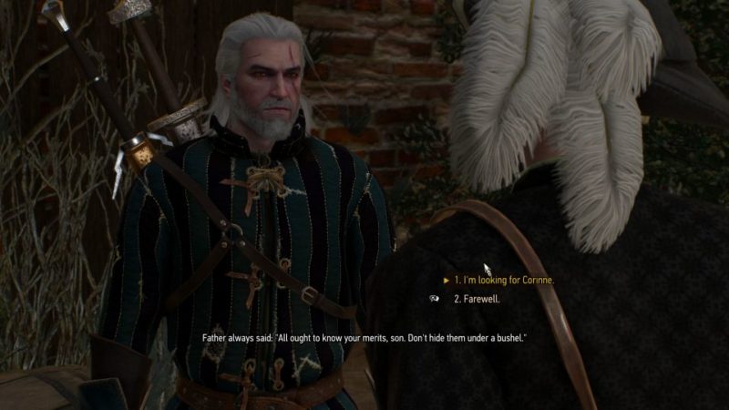 witcher 3 - novigrad dreaming guide and tips