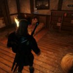 witcher 3 - novigrad dreaming tips