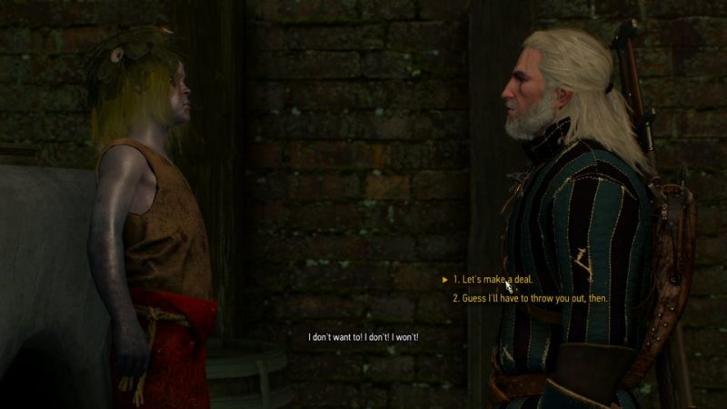 witcher 3 - novigrad dreaming wiki