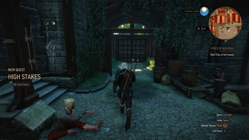 witcher 3 - pyres of novigrad quest