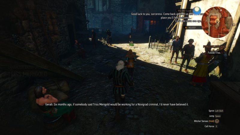 witcher 3 - pyres of novigrad tips