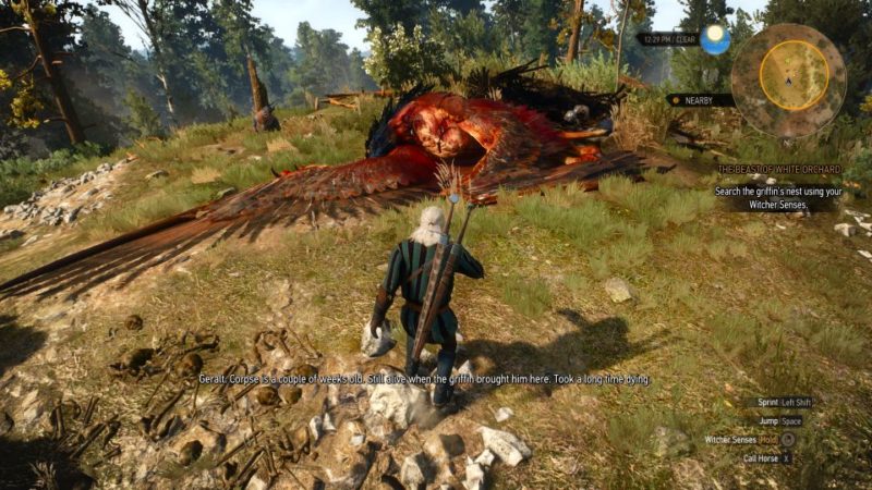 witcher 3 - the beast of white orchard - griffin tips