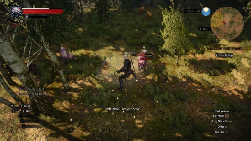 witcher 3 - the beast of white orchard mission