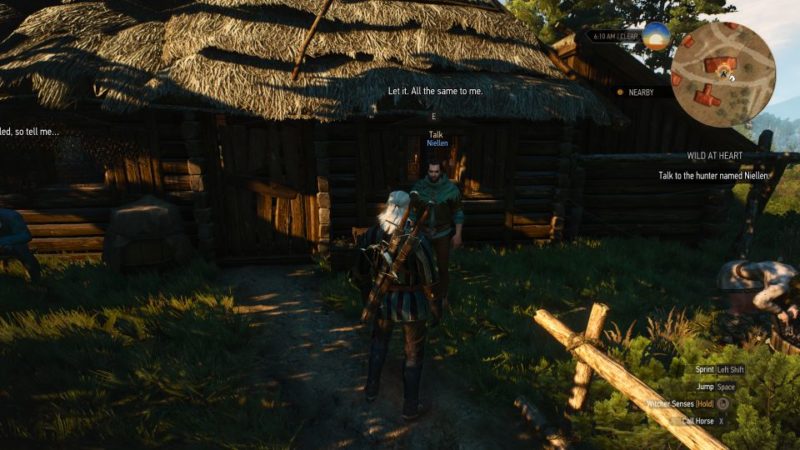 witcher 3 - wild at heart guide