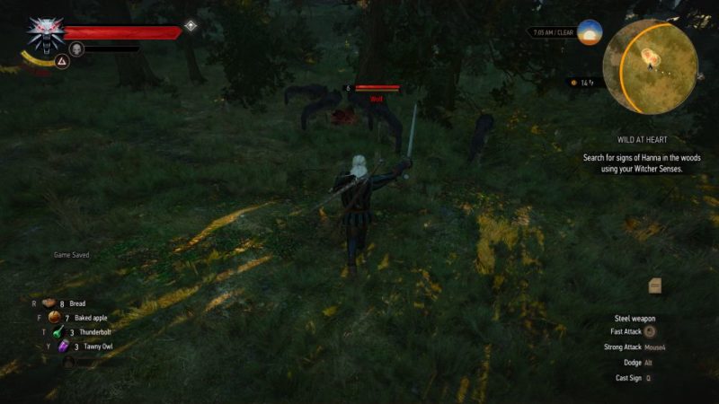 witcher 3 - wild at heart mission