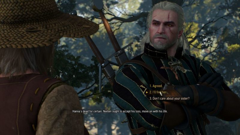 witcher 3 - wild at heart mission guide