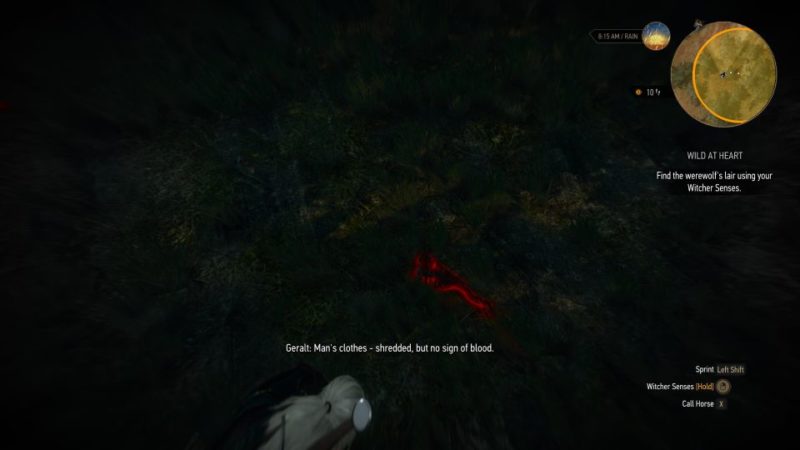 witcher 3 - wild at heart tips