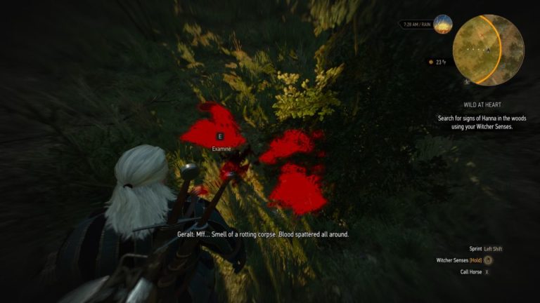 wild at heart witcher 3 outcomes