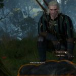 witcher 3 - wild at heart walkthrough and guide