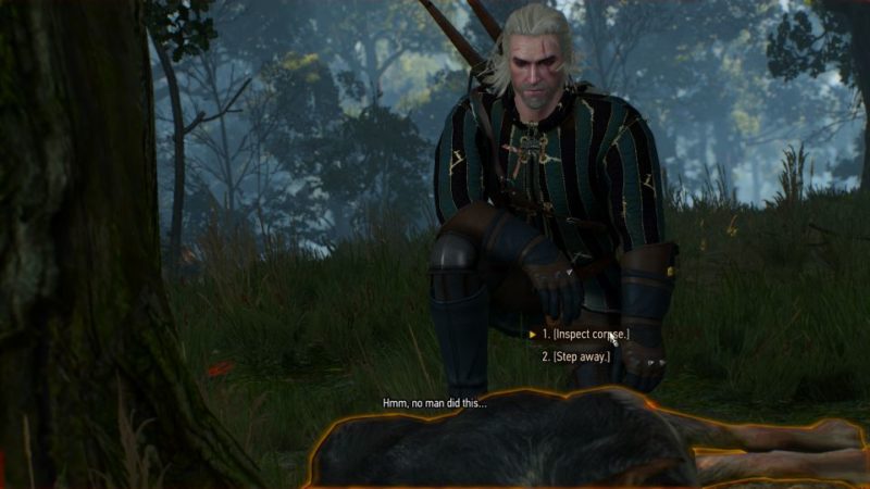 witcher 3 - wild at heart walkthrough and guide