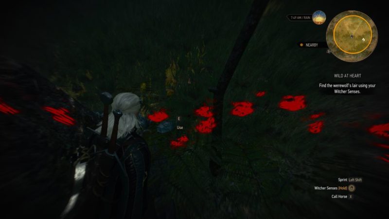 witcher 3 - wild at heart walkthrough tips