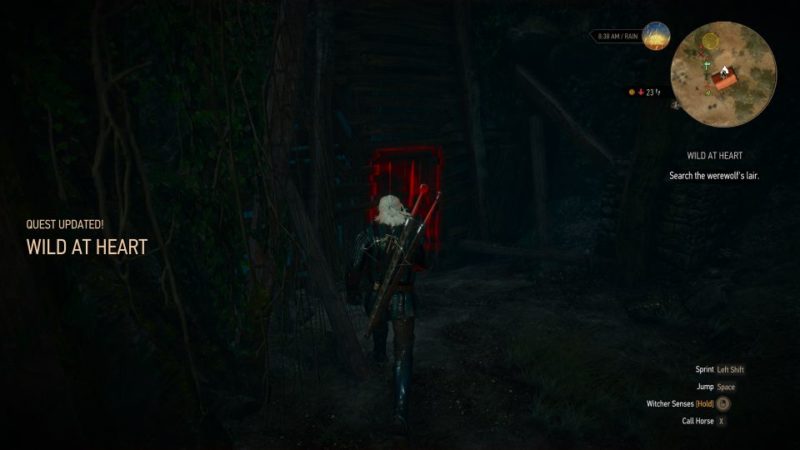 witcher 3 - wild at heart werewolf not spawning