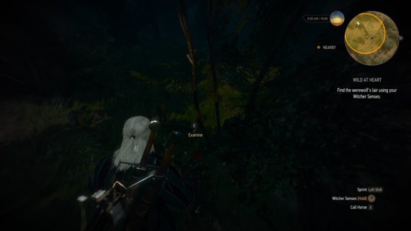 witcher 3 - wild at heart wiki