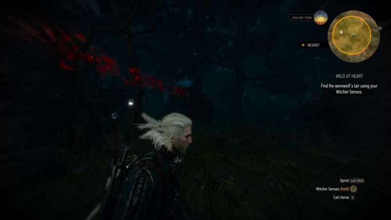 witcher 3 - wild at heart wiki and guide