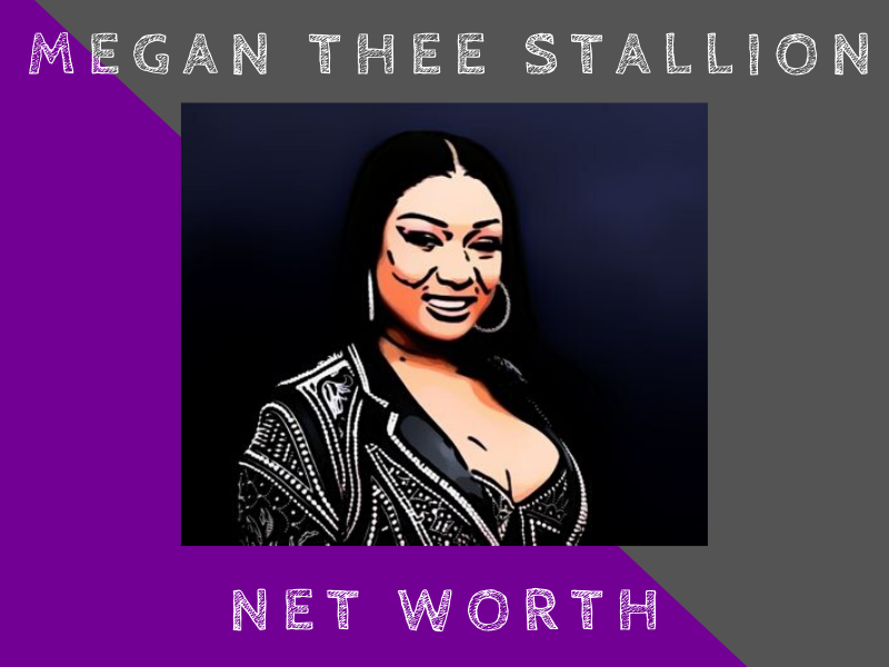 megan thee stallion net worth
