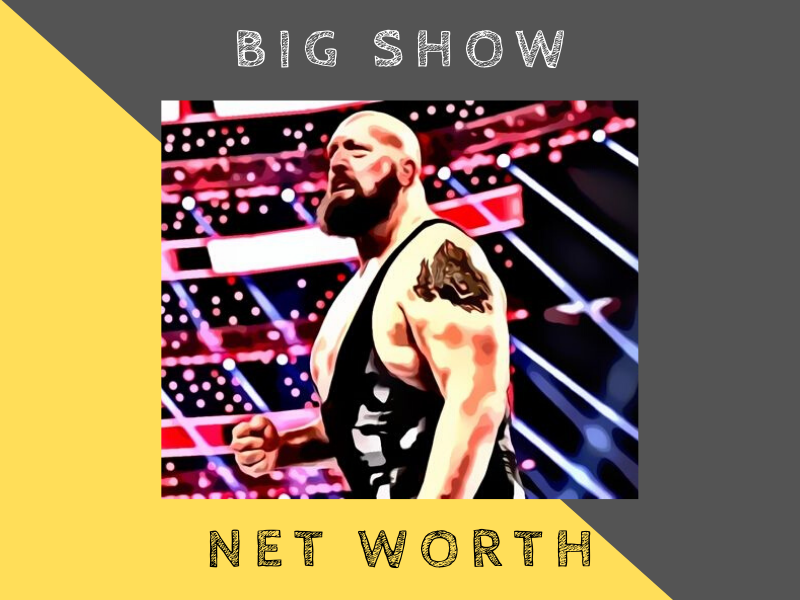 big show net worth
