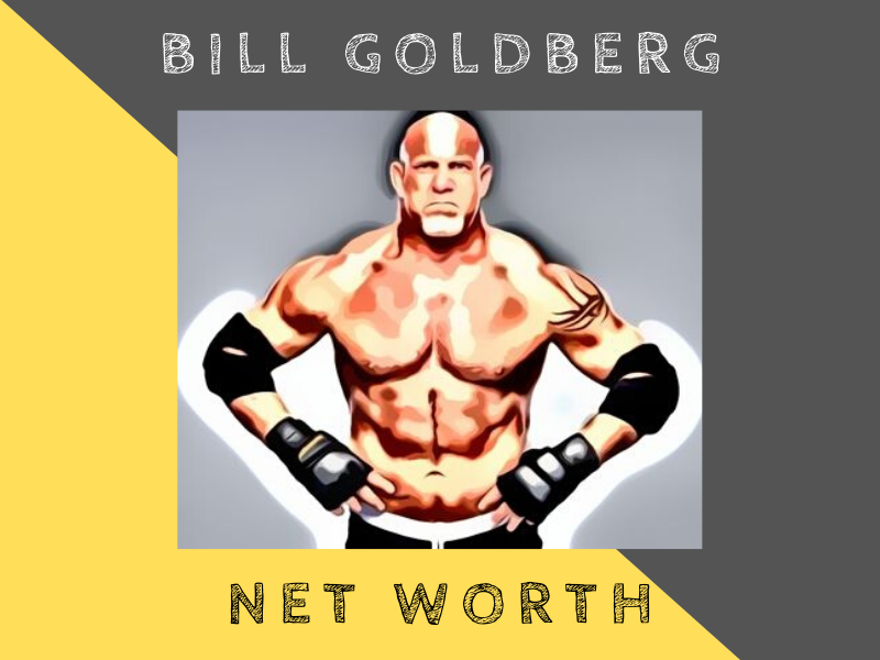 bill goldberg net worth