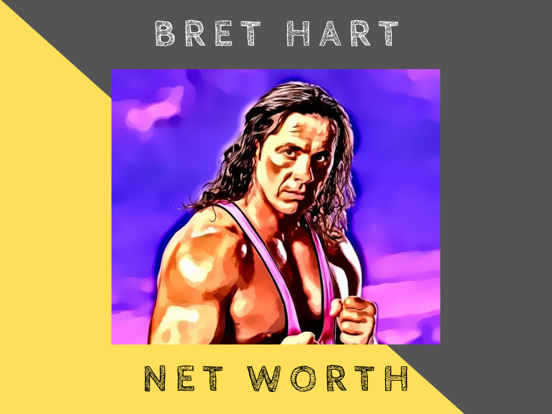 bret hart net worth