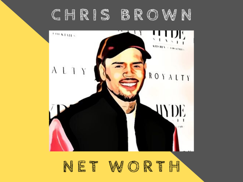 chris brown net worth
