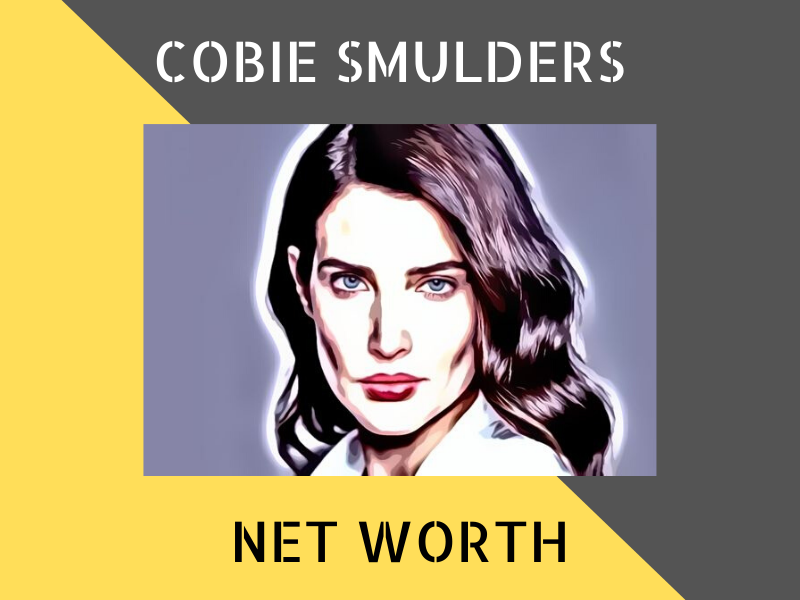 Cobie Smulders Net Worth