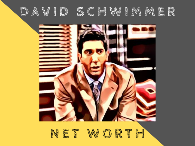 david schwimmer net worth