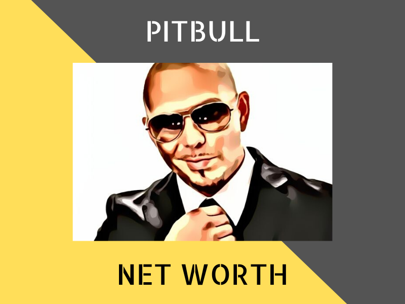 pitbull net worth