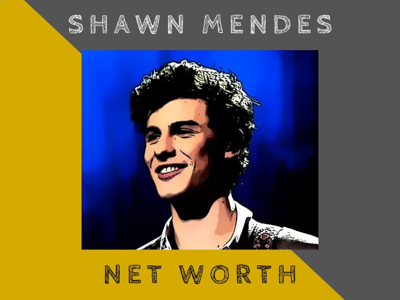 shawn mendes' net worth